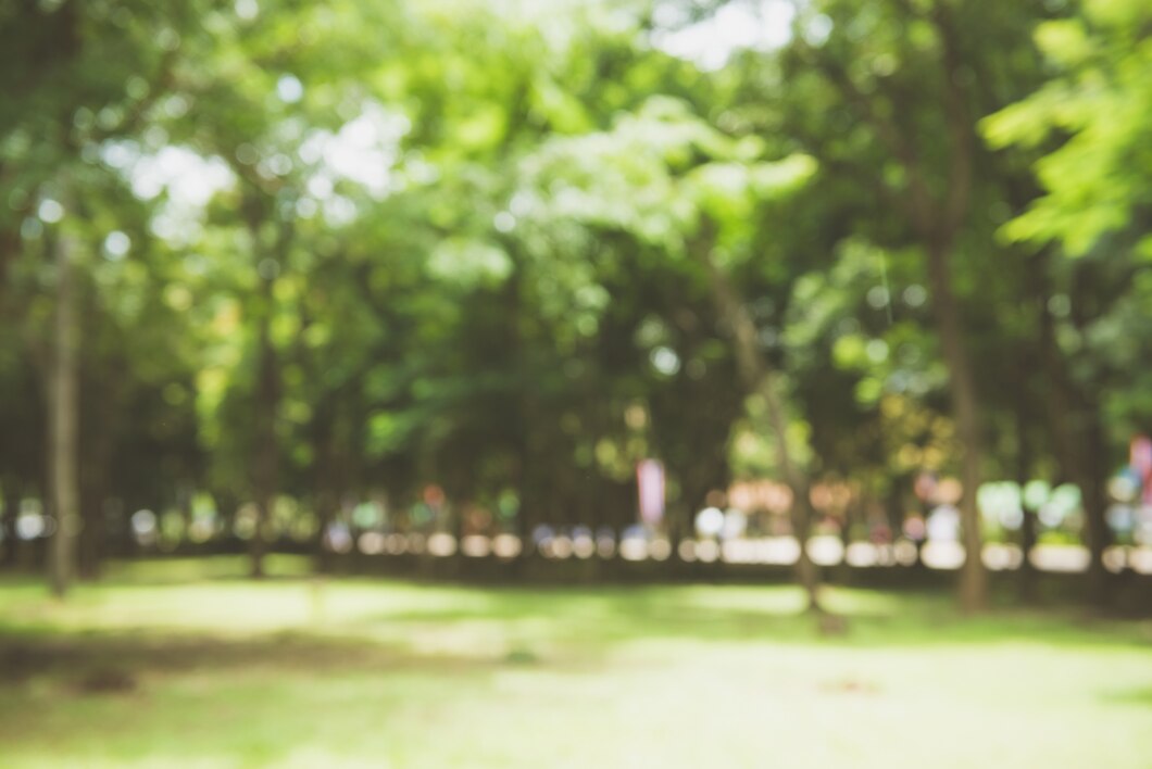 blur nature green park with bokeh sun light abstract background